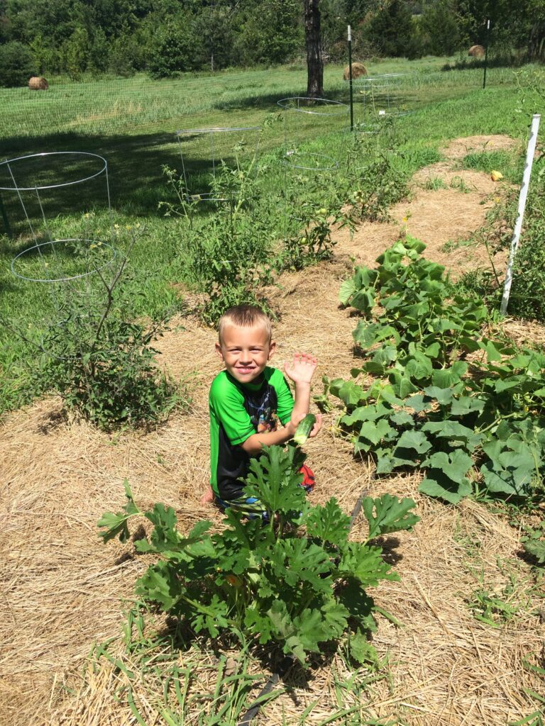 our family garden and little boy