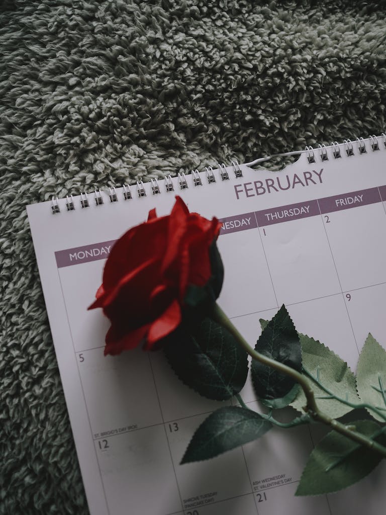 Free stock photo of february, valentines day