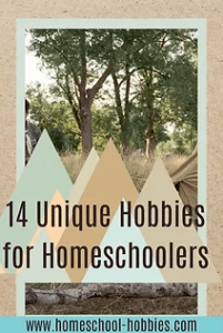 14 Unique Hobbies for Homeschool Success pinterest pin