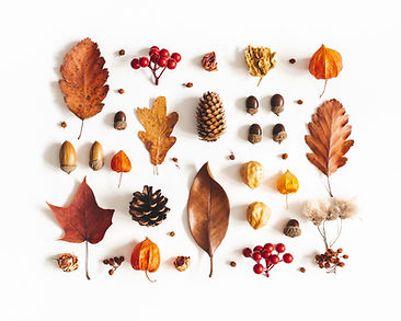 Nature Art Collection