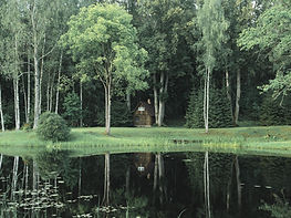 beautiful pond and forest for playing airsoft