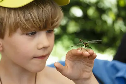 Boy with dragon fly