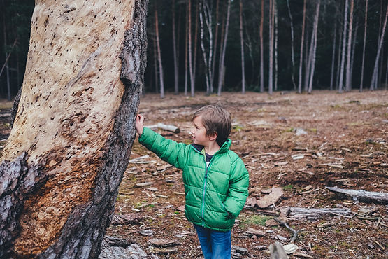 boy leaning against a tree