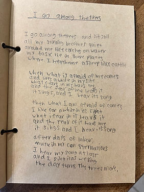 I Go Among the Trees poem