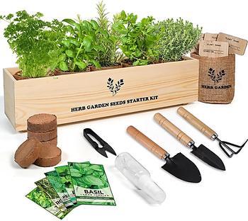 Indoor Herb Grow Kit