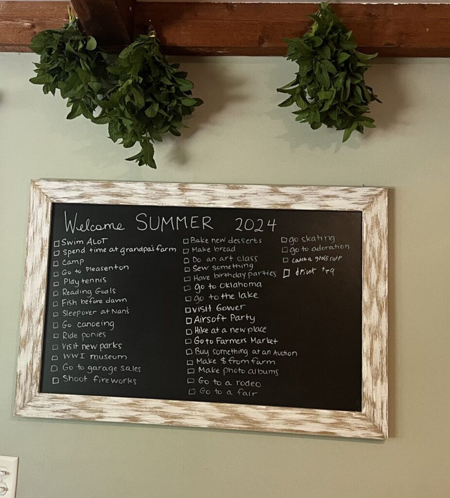 summer bucket list
