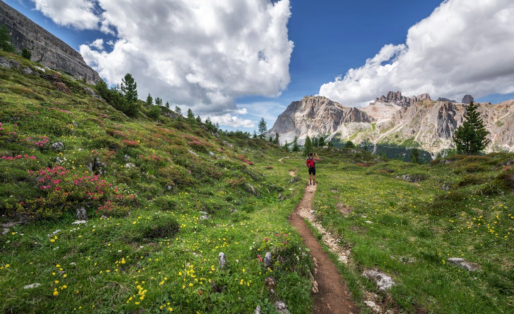 Homeschool Hobbies - a place to find out about new hobbies like hiking.