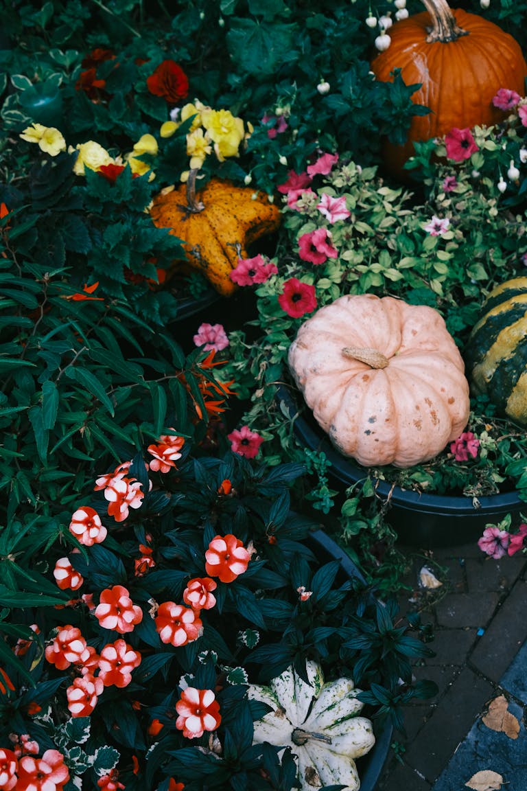 Pumpkins and Flowers on Ground- have fun with your family this fall with these activities