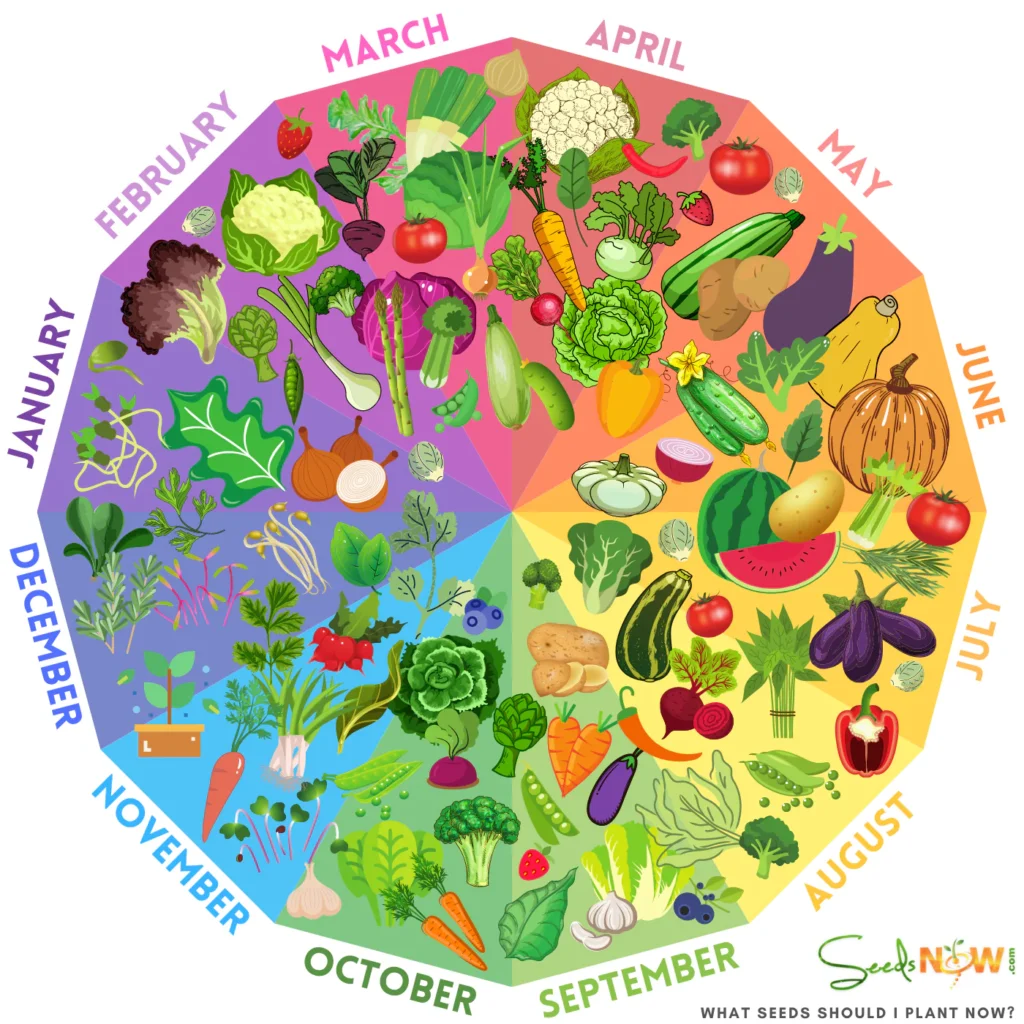 homeschool garden plant calendar