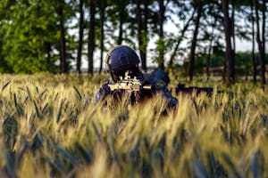 Person in tactical gear aiming airsoft gun in wheat field on sunny day.