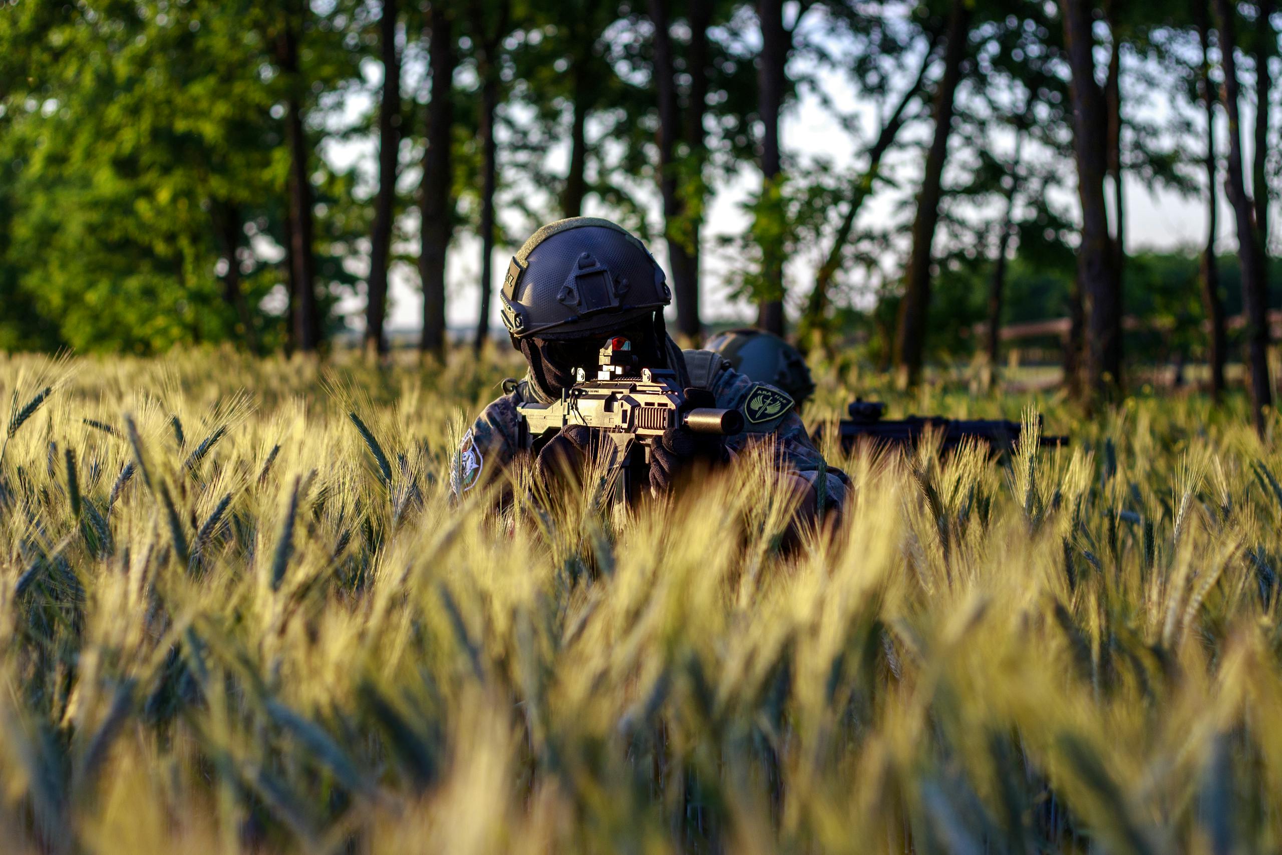 Person in tactical gear aiming airsoft gun in wheat field on sunny day.